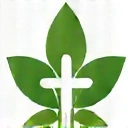 Icono de una hoja con un símbolo de cruz, representando soporte nutricional para condiciones específicas.